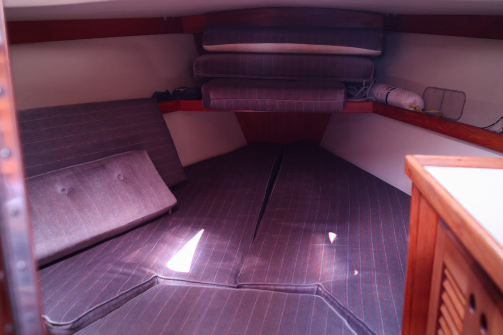 Catalina 36 interior Vberth