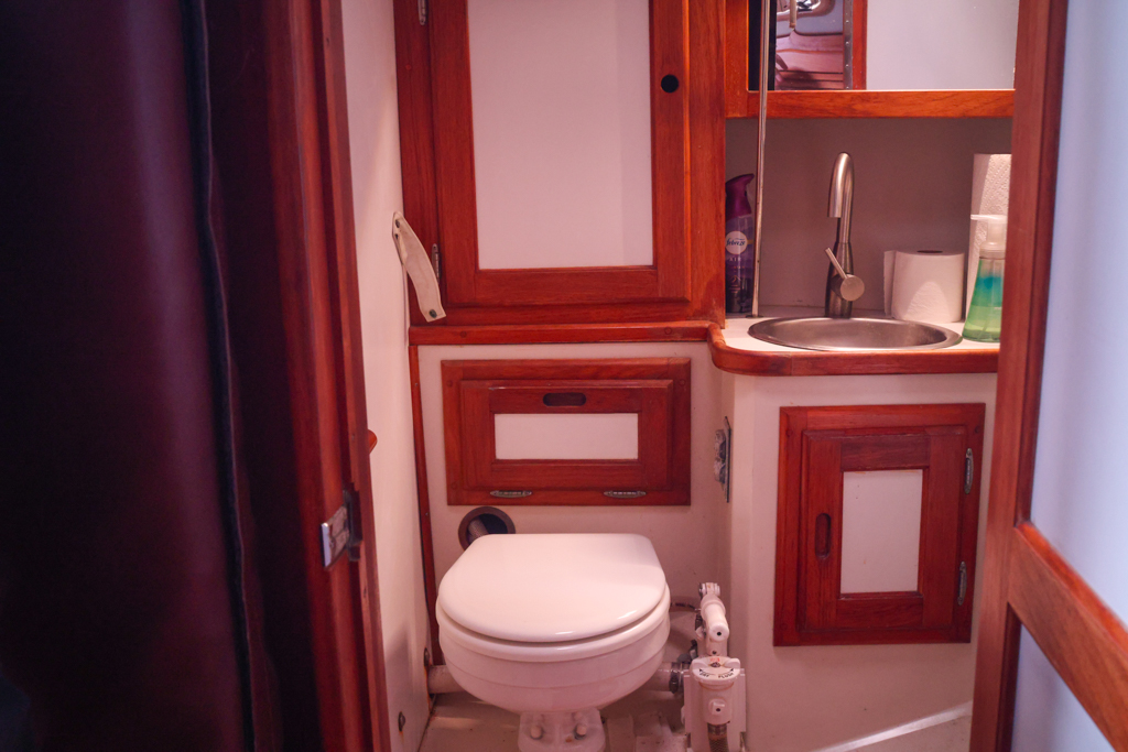 Catalina 36 interior Vberth